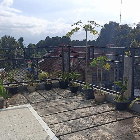 Puri Pilihani Hostel Munduk Kültér fotó